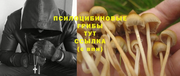амф Абаза