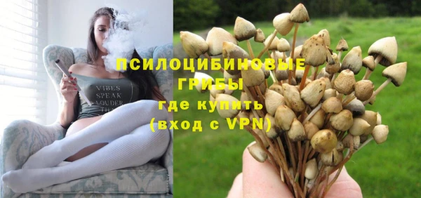 тгк Абдулино